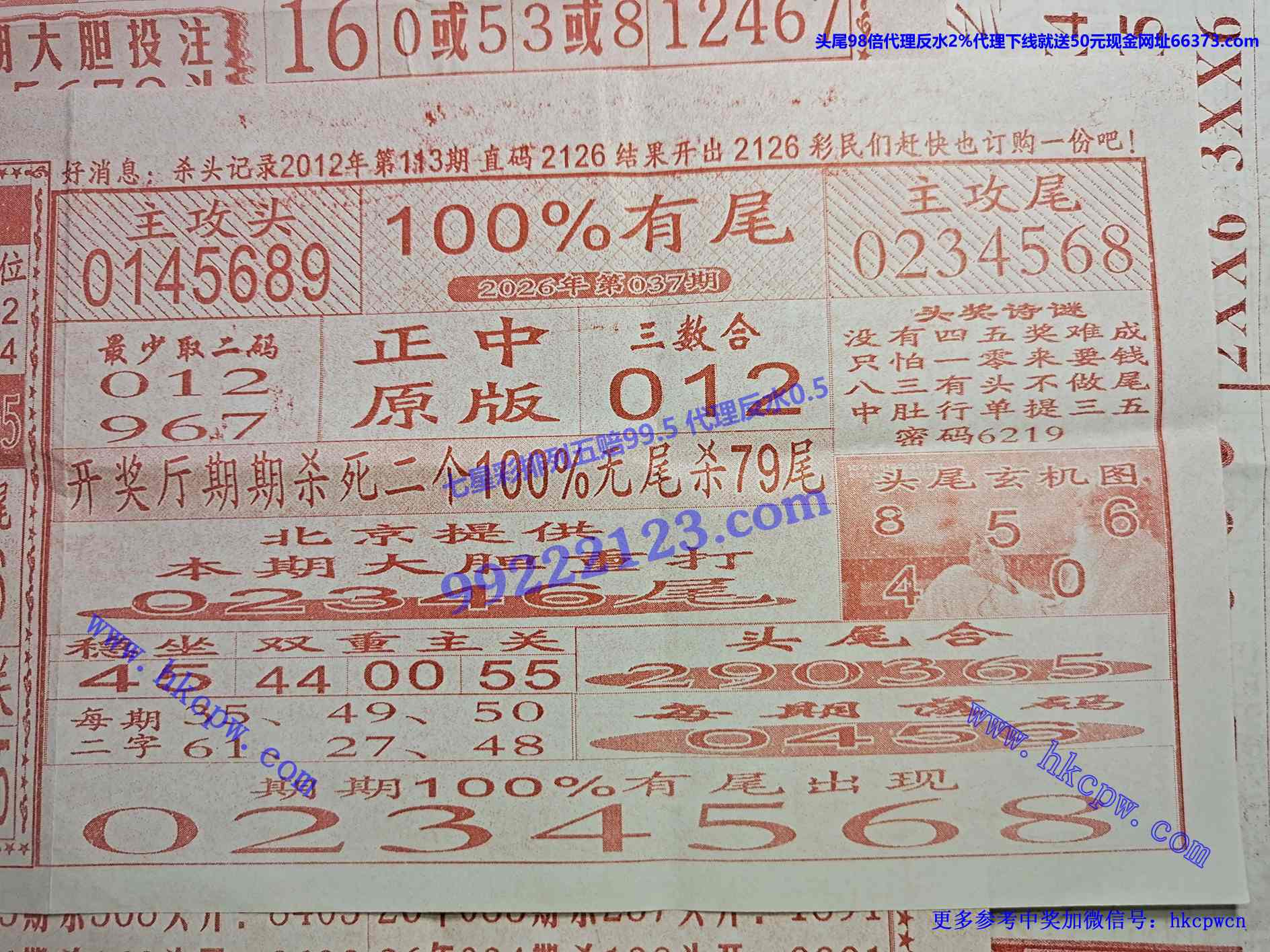 100��β.jpg