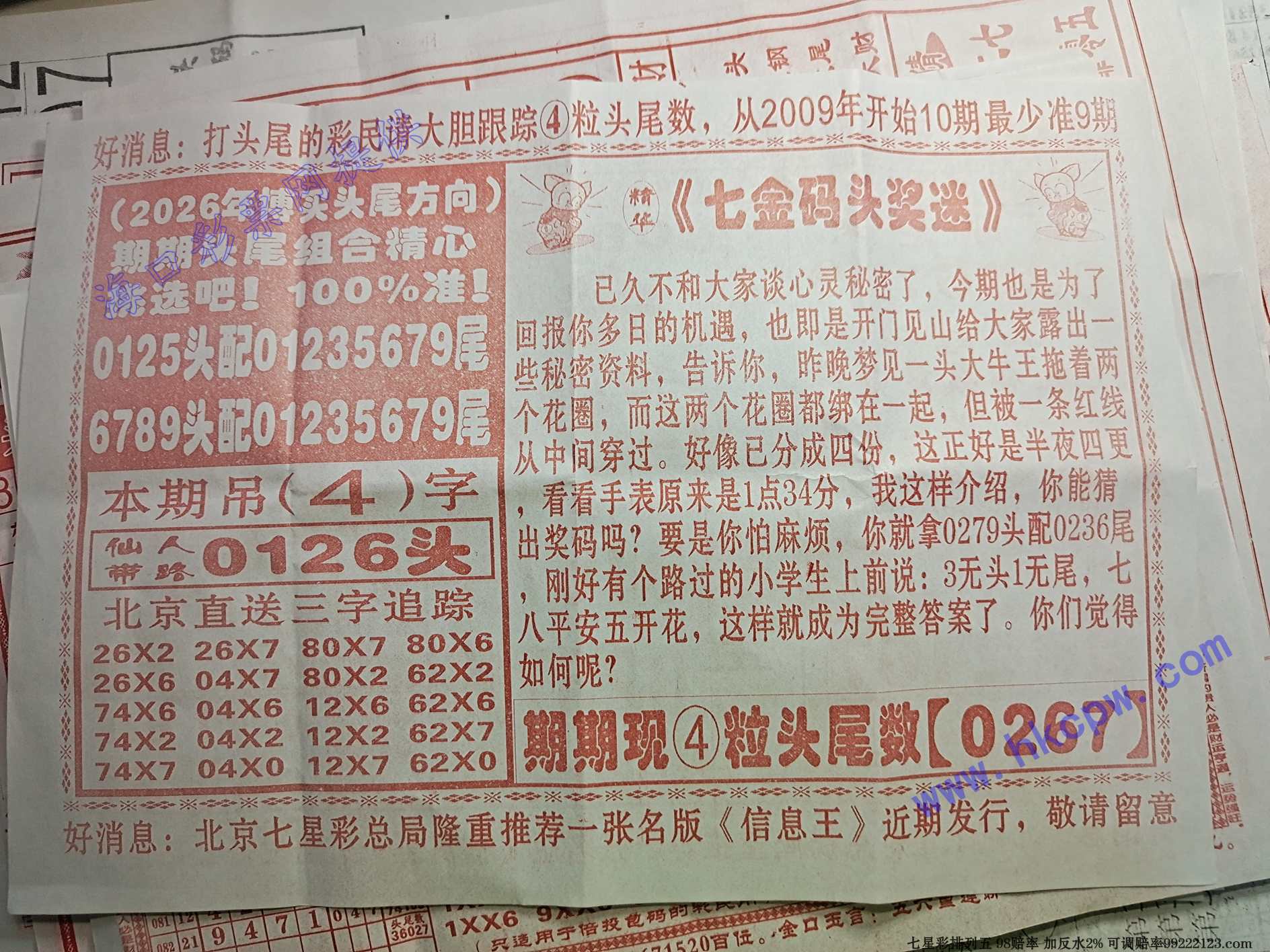 �߽���B.jpg